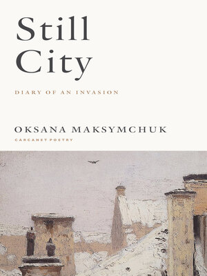 cover image of Still City